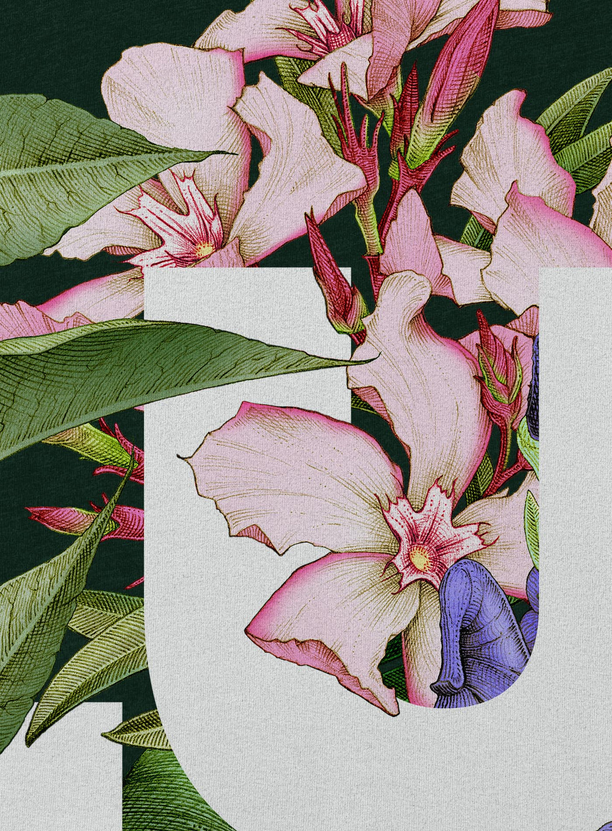 Detail of Heather green unisex t-shirt featuring the word LUST surrounded by poisonous flowers such as oleander, fire lily, belladonna and toloache.