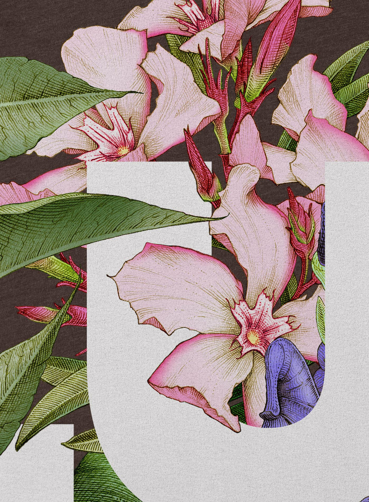 Detail of Heather brown unisex t-shirt featuring the word LUST surrounded by poisonous flowers such as oleander, fire lily, belladonna and toloache.