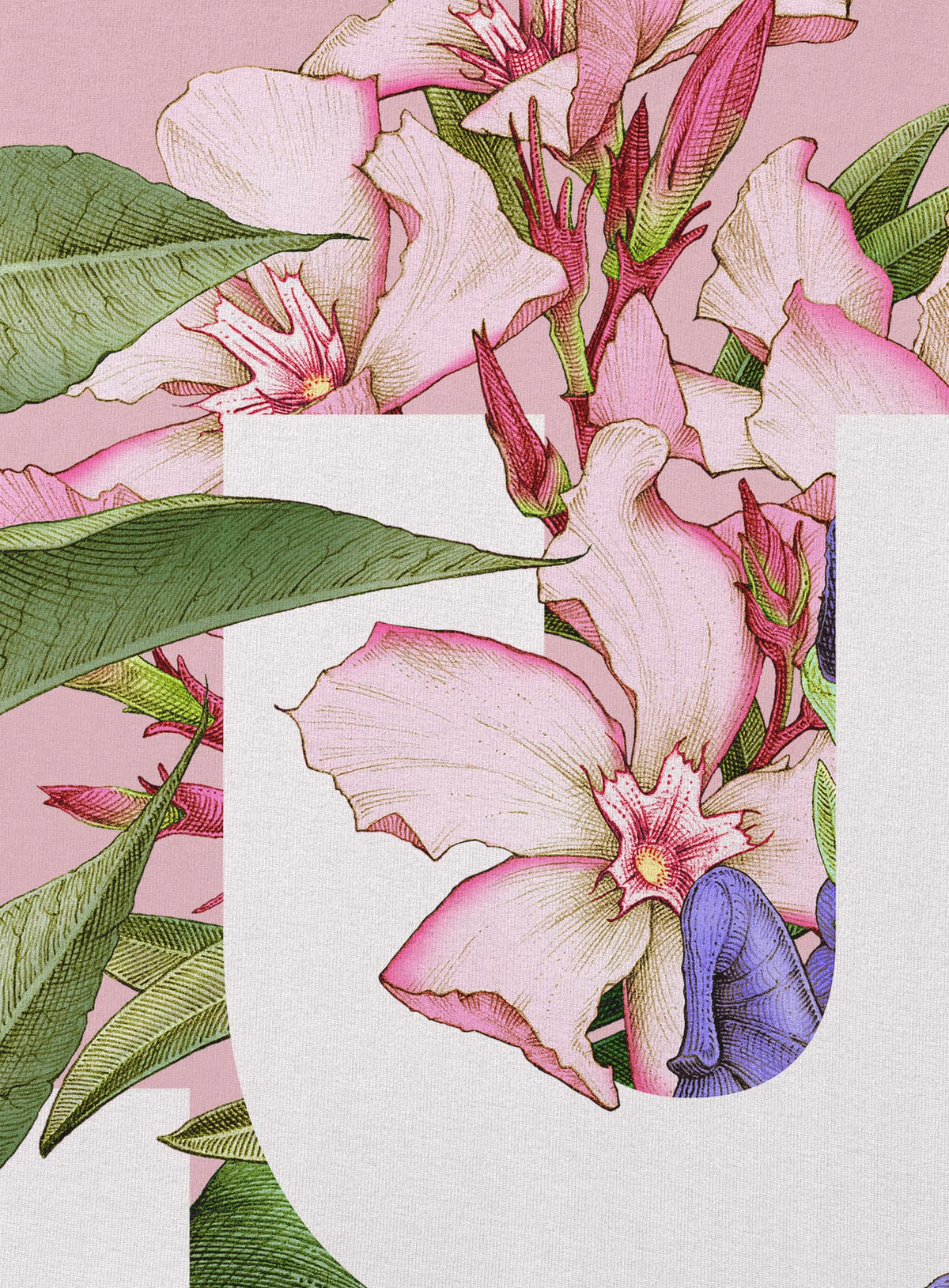 Detail of Heather pink unisex t-shirt featuring the word LUST surrounded by poisonous flowers such as oleander, fire lily, belladonna and toloache.