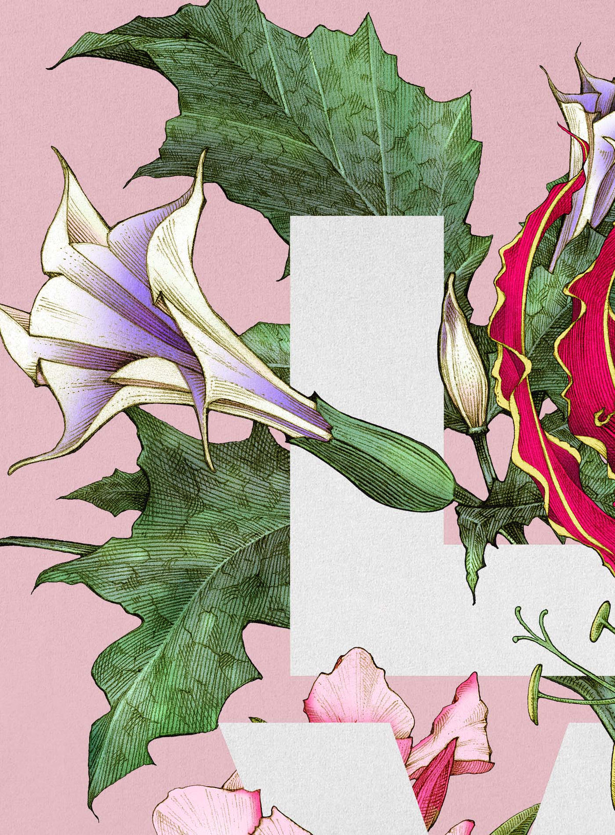 Detail of Pink unisex t-shirt featuring the word LOVE surrounded by poisonous flowers such as oleander, fire lily, belladonna and toloache.