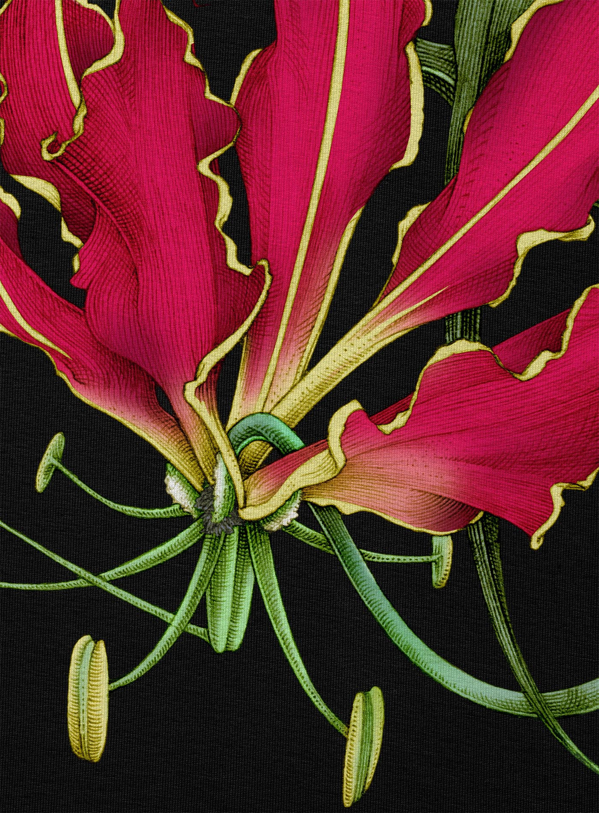 Detail of Black woman&#39;s all over dye sublimation leggings featuring poisonous flowers such as oleander, fire lily, belladonna and toloache. illustrated by G.M. Meave.